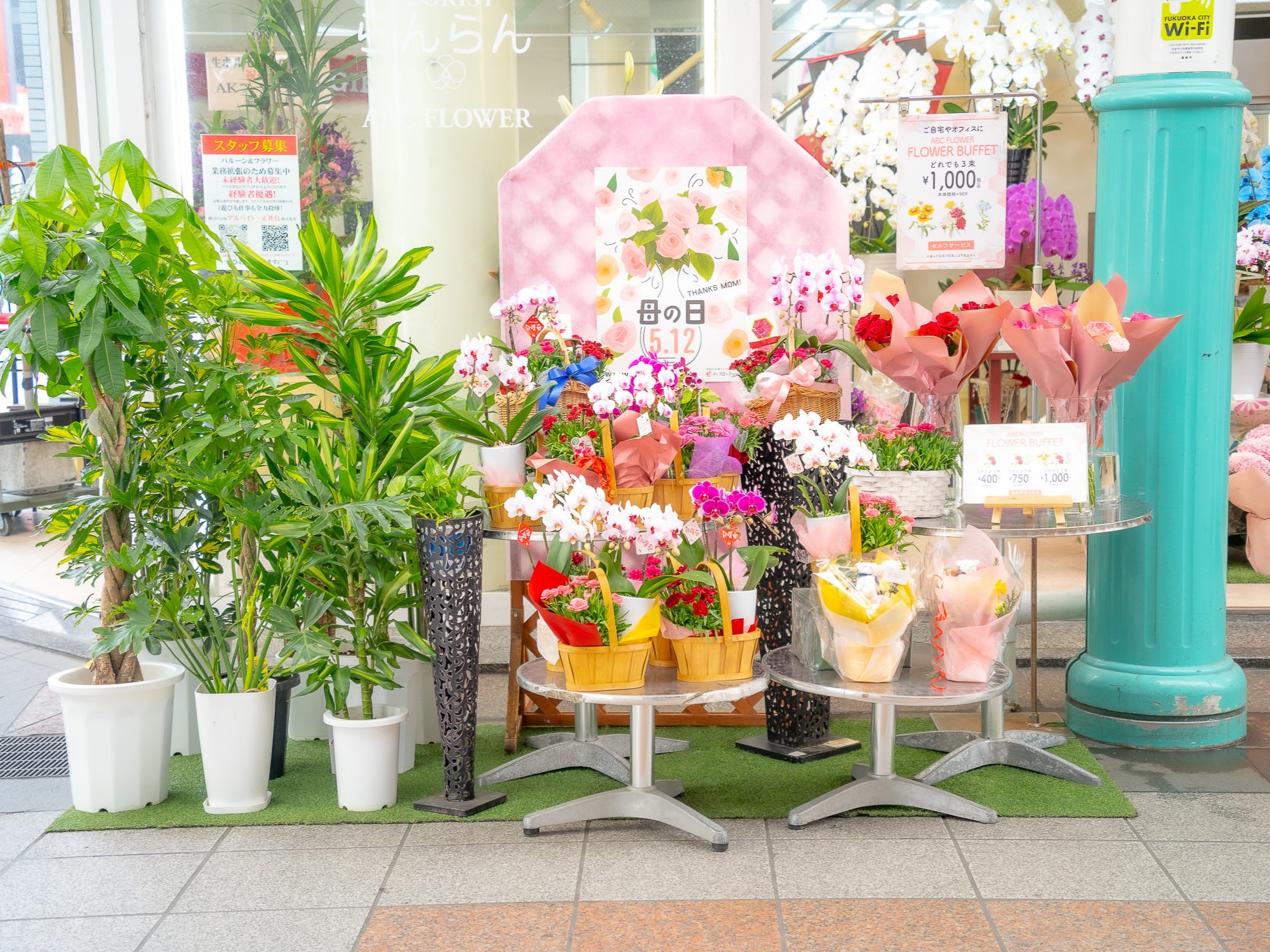 こんにちは。
上川端商店街の最高級胡蝶蘭専門店のフローリストらんらんです。